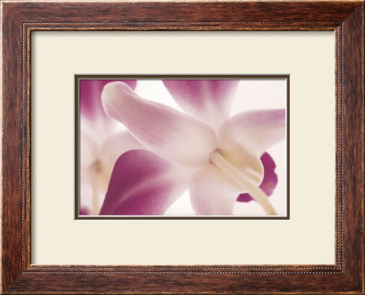 Mom's Love by Brian Leighton Pricing Limited Edition Print image