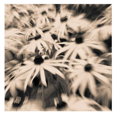 Daisy Trip I by Jean-François Dupuis Pricing Limited Edition Print image