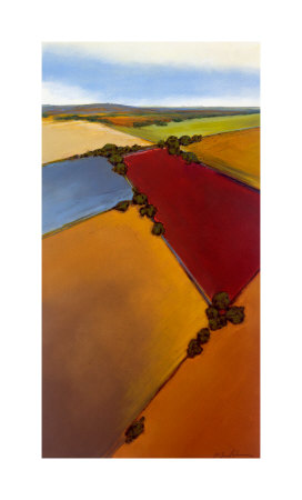 Aerial Plains 1 by Don Bradshaw Pricing Limited Edition Print image