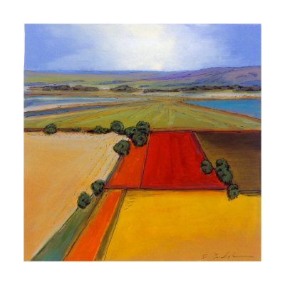Open Field 1 by Don Bradshaw Pricing Limited Edition Print image
