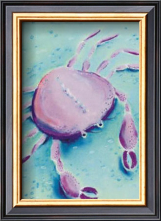 Charleston Crab by Dona Turner Pricing Limited Edition Print image
