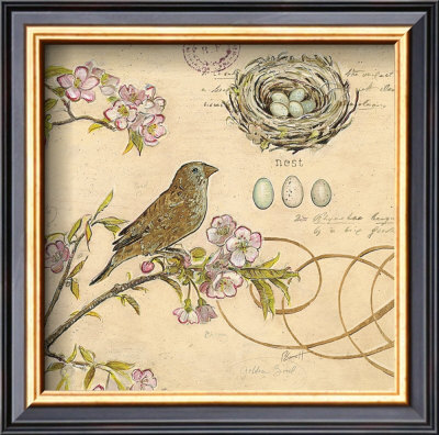 Nature's Observations I by Chad Barrett Pricing Limited Edition Print image