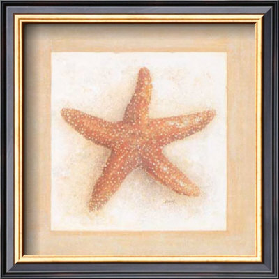 Etoiles De Mer I by Laurence David Pricing Limited Edition Print image