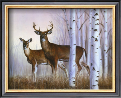 Deer In Birch Woods by Rusty Frentner Pricing Limited Edition Print image