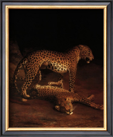 Two Leopards Playing In The Exeter Change Menagerie, C.1808 by Jacques-Laurent Agasse Pricing Limited Edition Print image