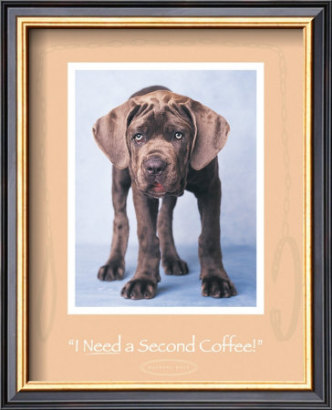 Second Coffee by Rachael Hale Pricing Limited Edition Print image