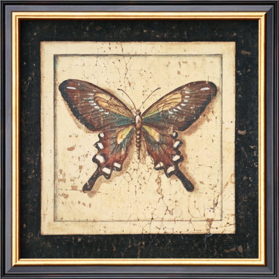 Ancient Butterfly Ii by Marty Joseph Pricing Limited Edition Print image