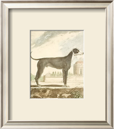 Classical Dogs by Georges-Louis Buffon Pricing Limited Edition Print image