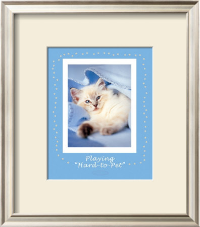 Hard-To-Pet by Rachael Hale Pricing Limited Edition Print image