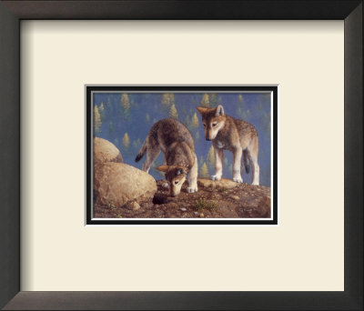Anybody Home by Crista Forest Pricing Limited Edition Print image