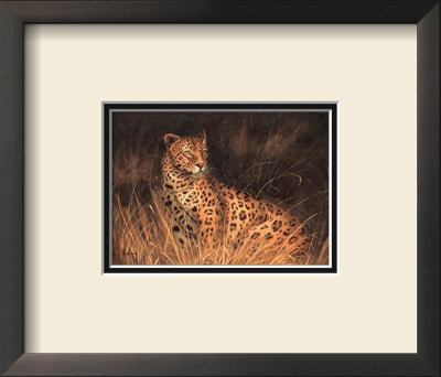 Spotted African Cat by Kilian Pricing Limited Edition Print image