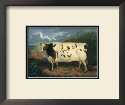 Craven Heifer by J. Whessell Pricing Limited Edition Print image