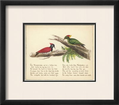 Woodpecker Verse by Nathaniel Tweet Pricing Limited Edition Print image