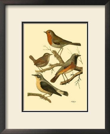 Domestic Bird Family Iii by W. Rutledge Pricing Limited Edition Print image