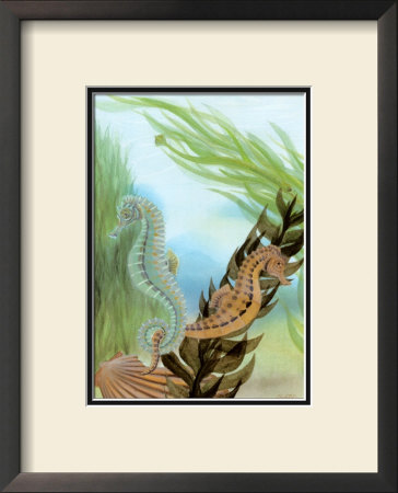 Seahorse Serenade Iv by Charles Swinford Pricing Limited Edition Print image
