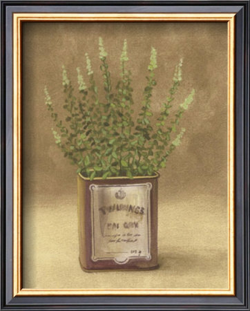 Plant In Brown Can by Jose Gomez Pricing Limited Edition Print image