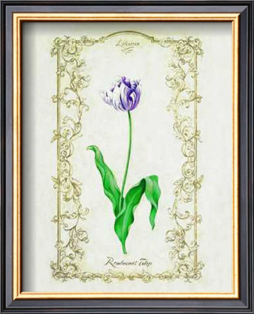 Rambrandt Tulip by Eva Komura Pricing Limited Edition Print image