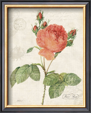 June Rose by Katie Pertiet Pricing Limited Edition Print image