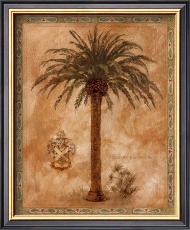 Phoenix Canariensis by Betty Whiteaker Pricing Limited Edition Print image