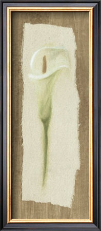 White Cala Lilly by Jose Gomez Pricing Limited Edition Print image