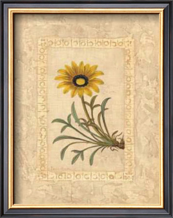 Gazania by Javier Fuentes Pricing Limited Edition Print image