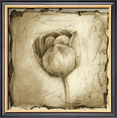 Floral Impression Iii by Ethan Harper Pricing Limited Edition Print image