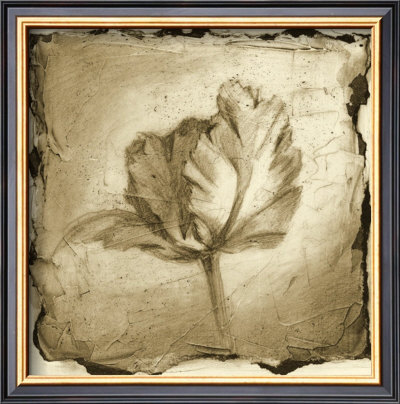 Floral Impression V by Ethan Harper Pricing Limited Edition Print image