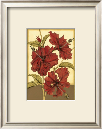 Sophisticated Hibiscus I by Jennifer Goldberger Pricing Limited Edition Print image