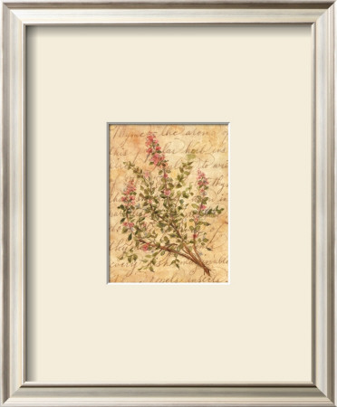 Vintage Herbs, Thyme by Constance Lael Pricing Limited Edition Print image