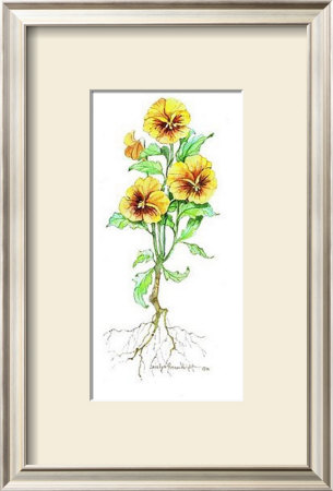 Pansy by Carolyn Shores-Wright Pricing Limited Edition Print image