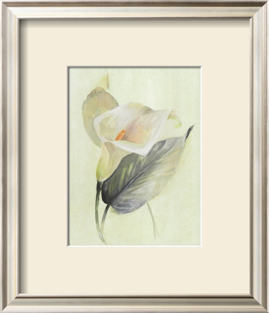 Calla Lily Iii by Paul Hargittai Pricing Limited Edition Print image