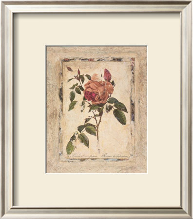 Rose Texture Ii by Joyce Combs Pricing Limited Edition Print image