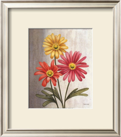 Gerber Daisies by Debra Lake Pricing Limited Edition Print image