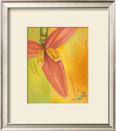 Exotica Ii by Patricia Quintero-Pinto Pricing Limited Edition Print image