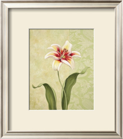 Lily Surprise by Debra Lake Pricing Limited Edition Print image