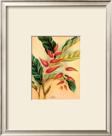 Heliconia by Hale Pua Studio Pricing Limited Edition Print image