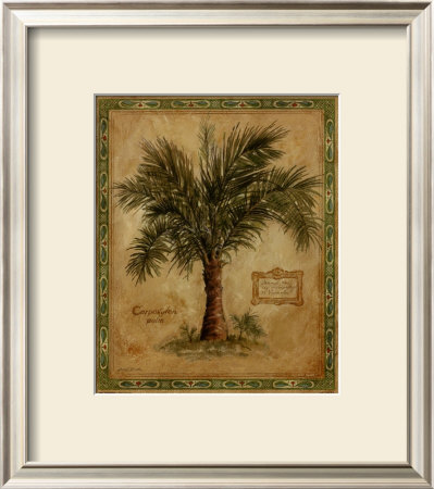 Palm Carpoxylon by Betty Whiteaker Pricing Limited Edition Print image