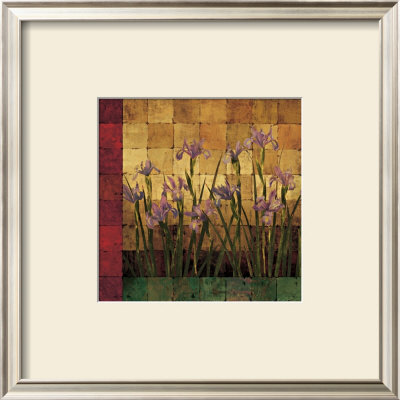 Iris Garden by Marcia Wells Pricing Limited Edition Print image