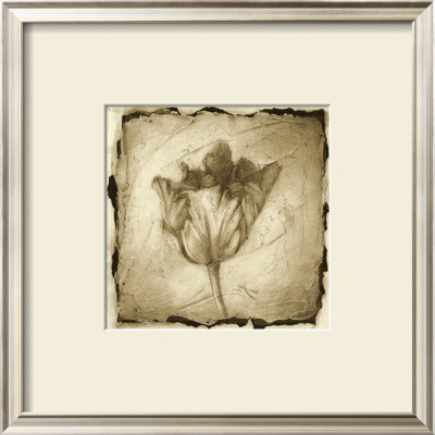 Floral Impression Ii by Ethan Harper Pricing Limited Edition Print image