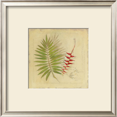Botanical Study Ii by Avery Tillmon Pricing Limited Edition Print image