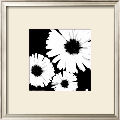 Daisies Ii by Patti Socci Pricing Limited Edition Print image