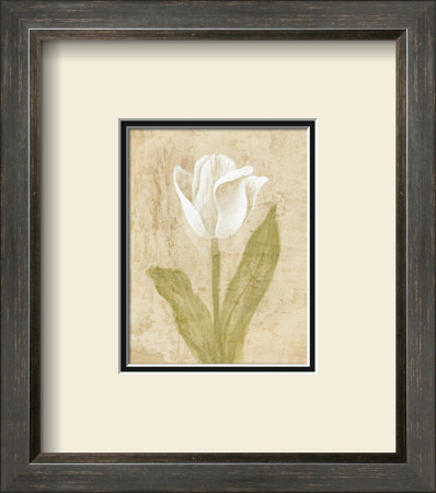 White Flower by David Col Pricing Limited Edition Print image