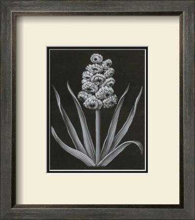 Flower by Stela Klein Pricing Limited Edition Print image