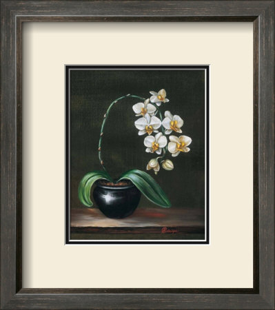 Good As Gold Orchid by Sandra Principe Pricing Limited Edition Print image