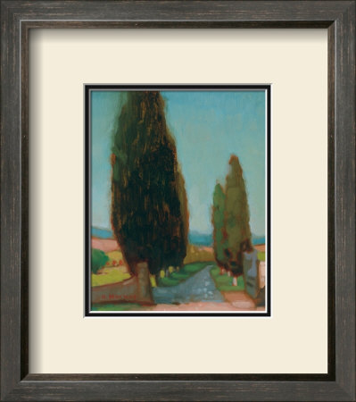Cypress Trees Ii by Donna Harkins Pricing Limited Edition Print image
