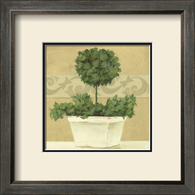 Green Plant In White Pot by Cuca Garcia Pricing Limited Edition Print image