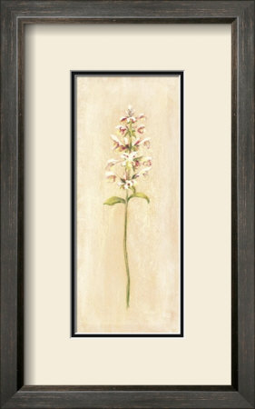 White And Red Flower by David Col Pricing Limited Edition Print image