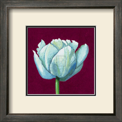 From Flower To Bud Ii by Kate Mawdsley Pricing Limited Edition Print image