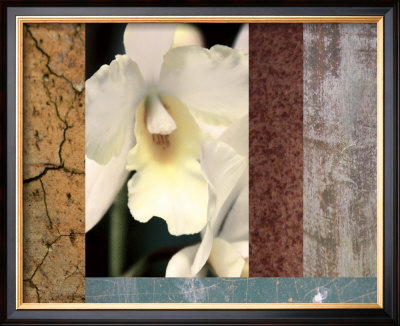 Tropical Whites I by M.J. Lew Pricing Limited Edition Print image