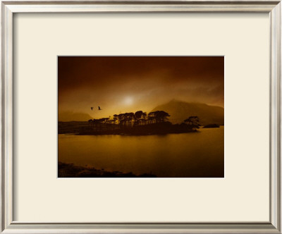 Lake by Ben Baldwin Pricing Limited Edition Print image